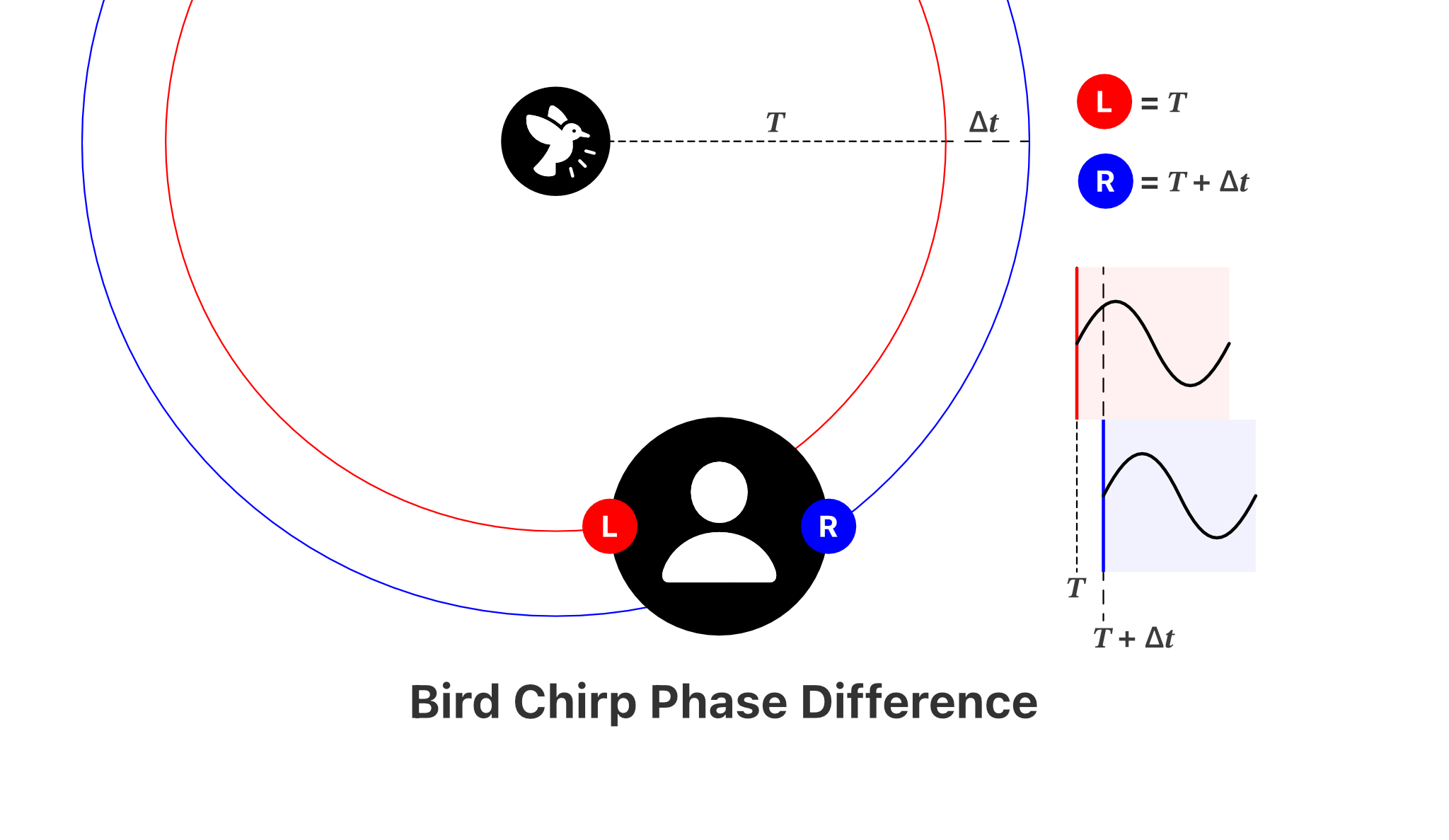 Bird Chirp Phase Difference, Alfred R. Duarte 2025 Bird Chirp Phase Difference, 2025